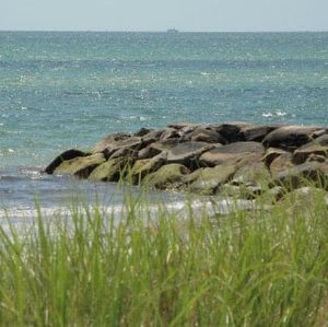 Meet your Posher, Heidi